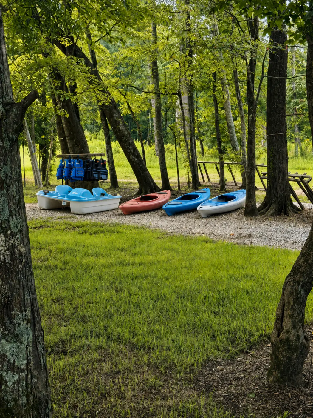 Kayaks and paddle boat at Waterfront Retreat