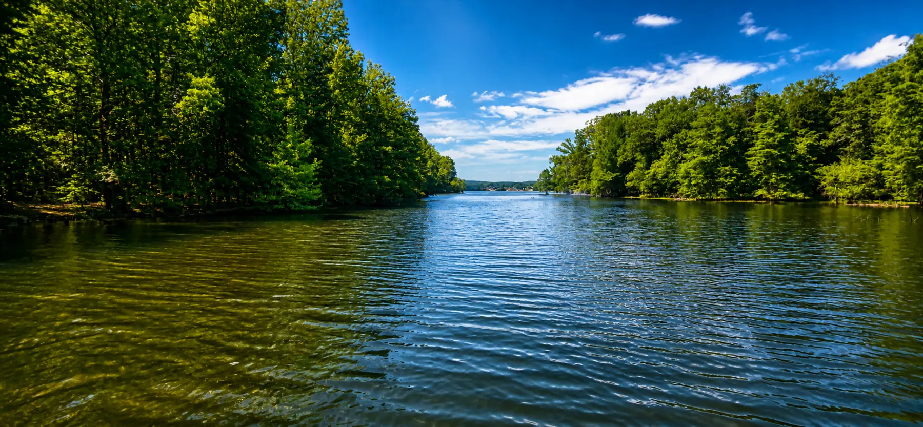 Peaceful view across Pickwick Lake